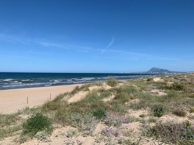 Golf Y Mar - Oliva Nova Daire Dış mekan fotoğraf